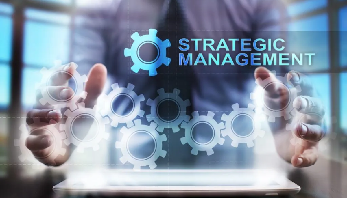 Strategic IT Management and Consultation